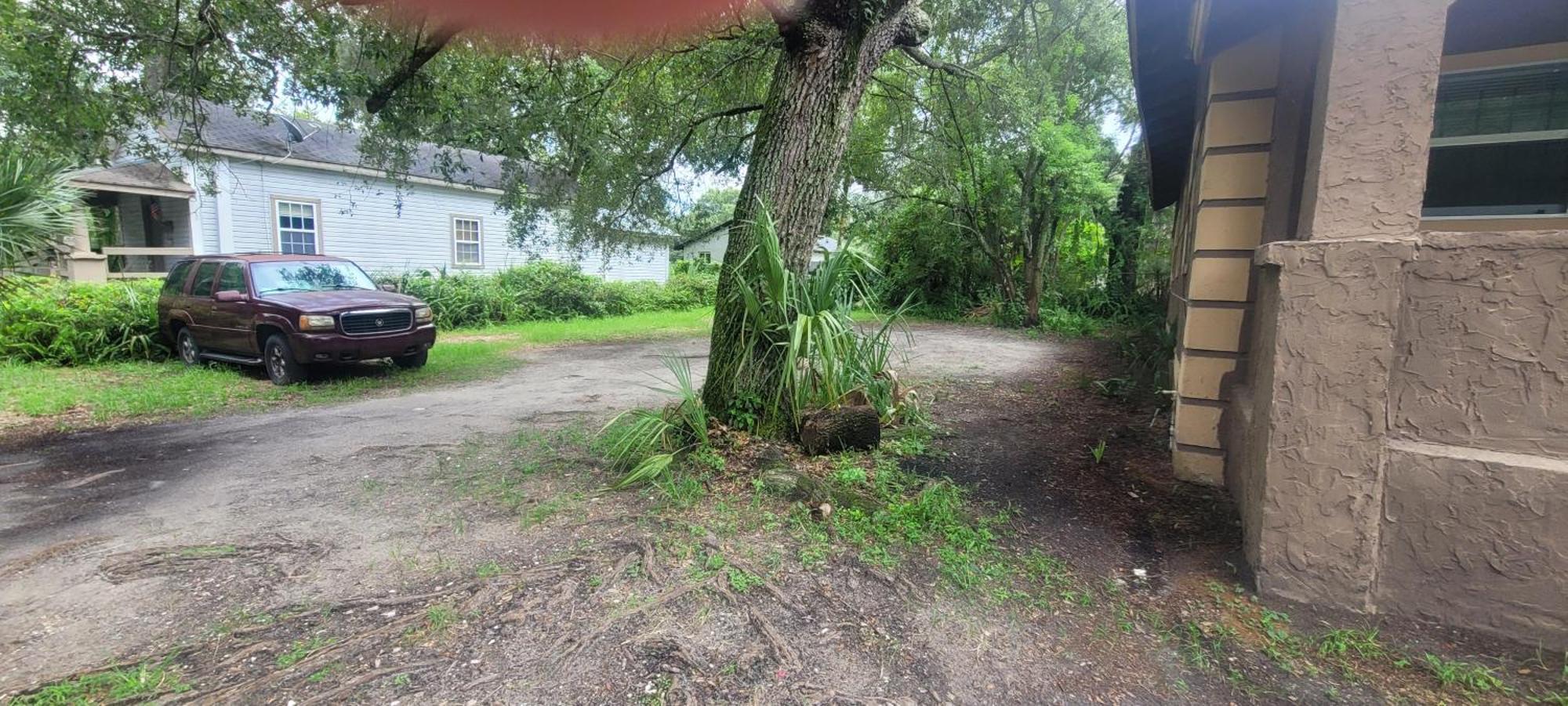 Large, Central, Lovely & Cozy 4Bed/2Bath - House By Everbank Stadium Jacksonville Eksteriør bilde